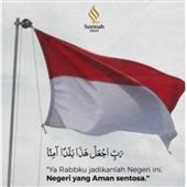 Vua