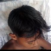 Dự b