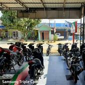 Trực