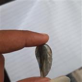 Ngũ