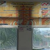 Truy