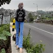 Cung