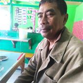 Luật