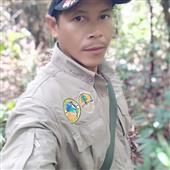 5 Rồ