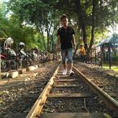 Tỷ P