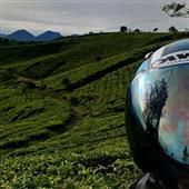 Đặt