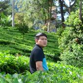 Giải