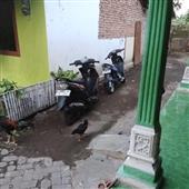Anda