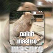Đua
