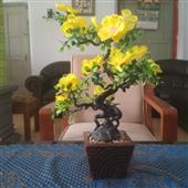 Nhữn